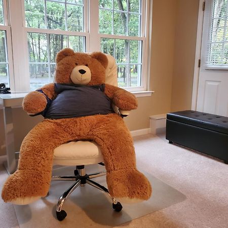 Albrightsville Spacious Home By Kalahari Waterpark, Camelback And Jim Thorpe, Free Ev Station מראה חיצוני תמונה