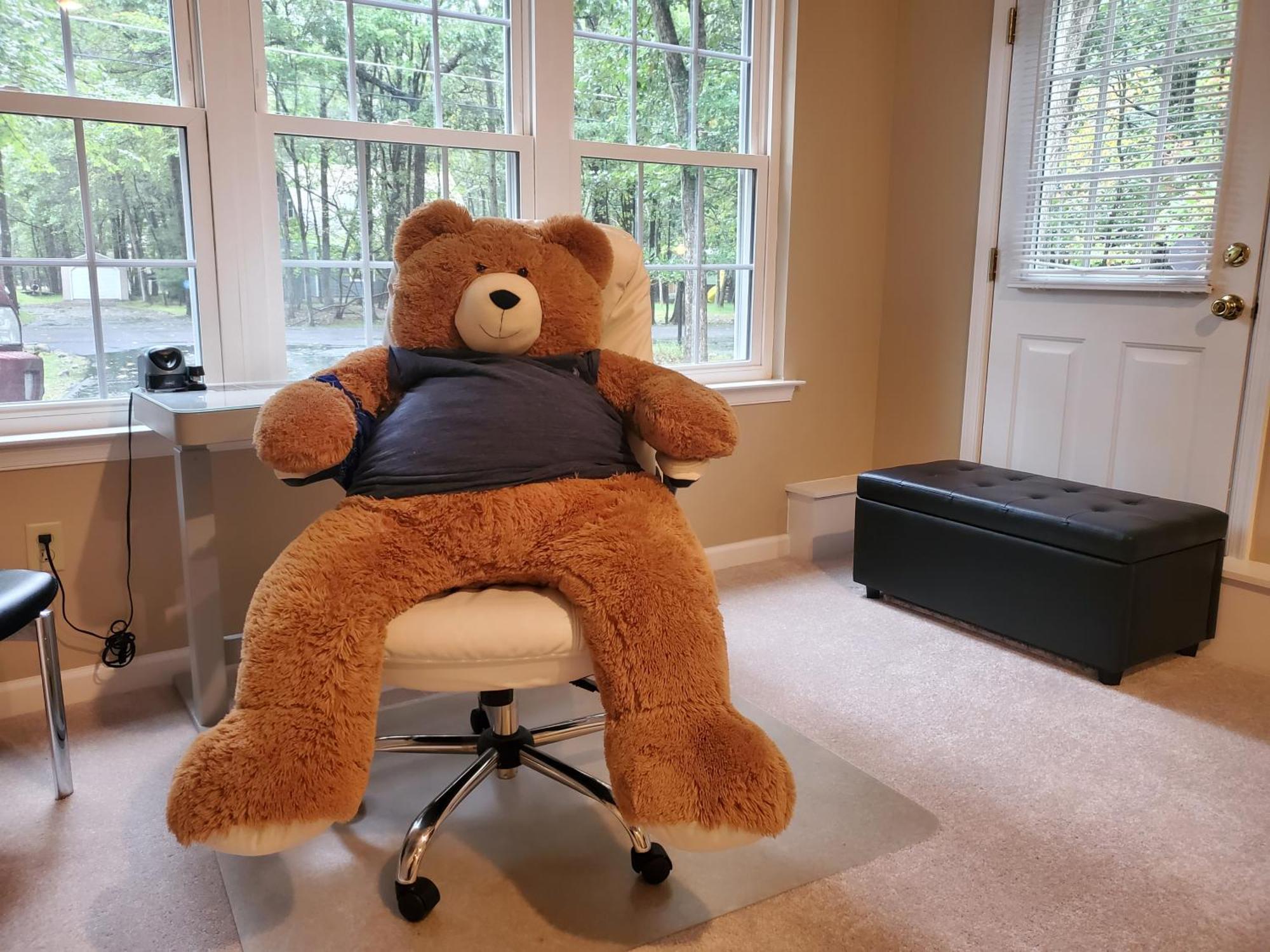 Albrightsville Spacious Home By Kalahari Waterpark, Camelback And Jim Thorpe, Free Ev Station מראה חיצוני תמונה